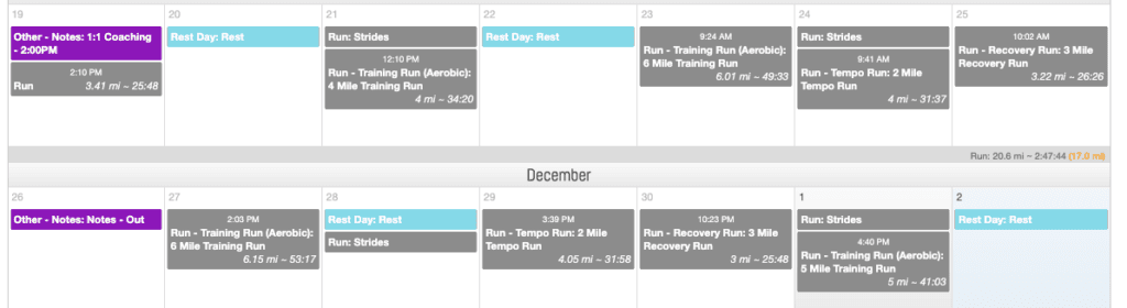 Final Surge weekly training view
