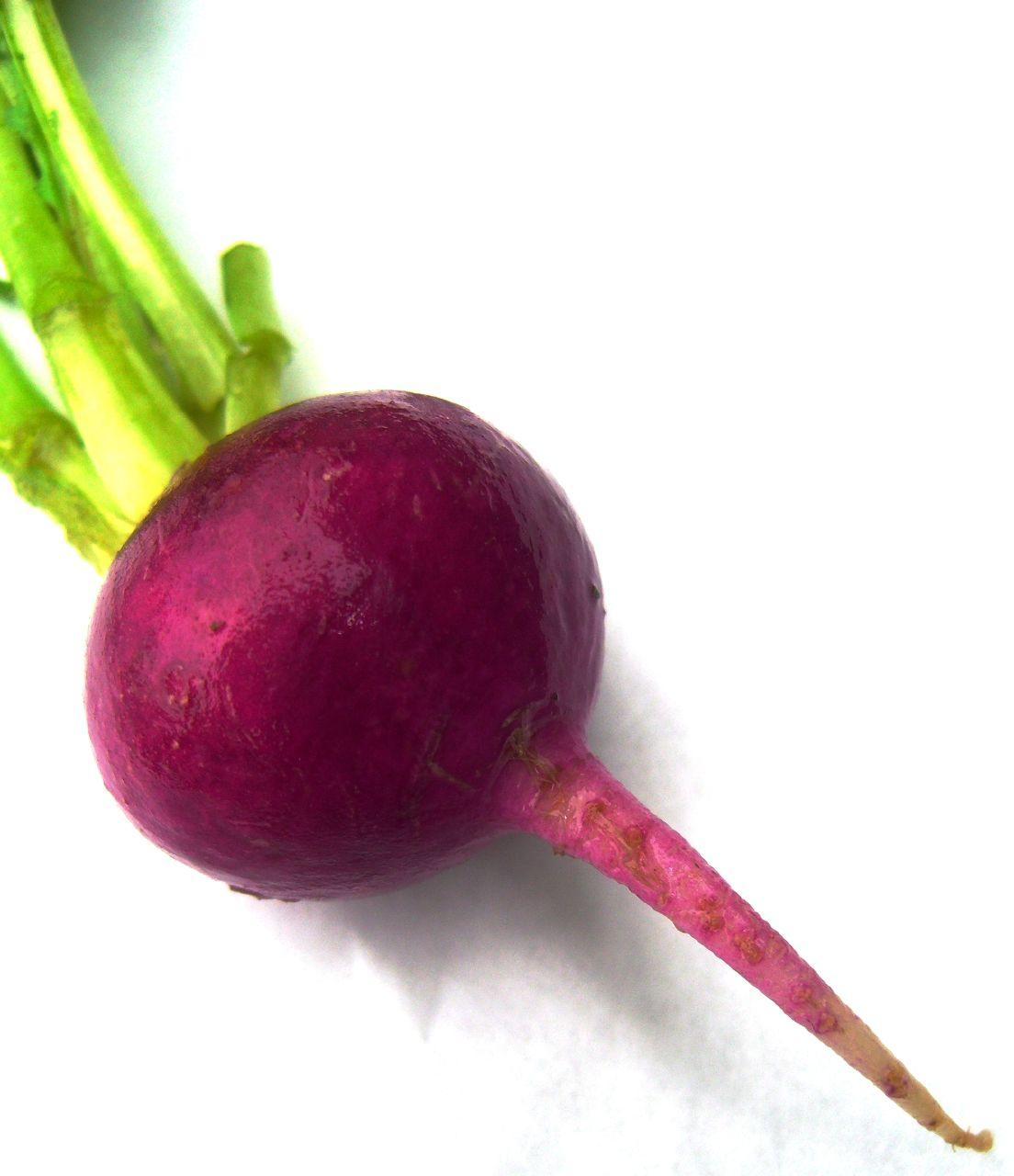 Beets